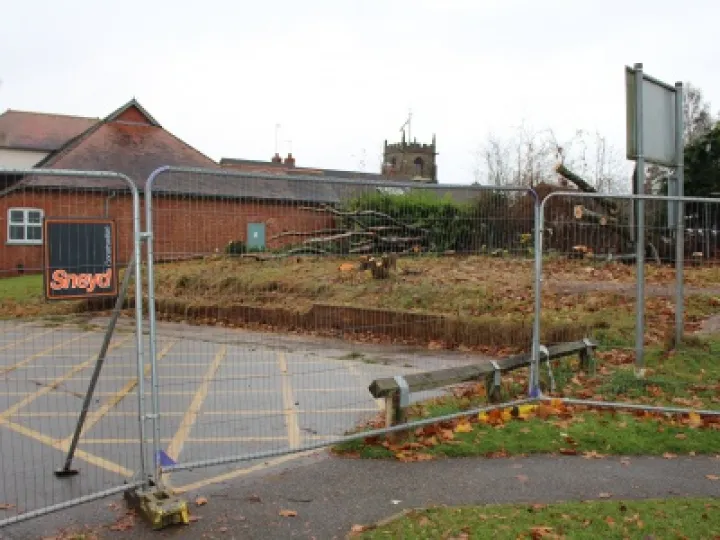 12/11/2016 Tree Removal