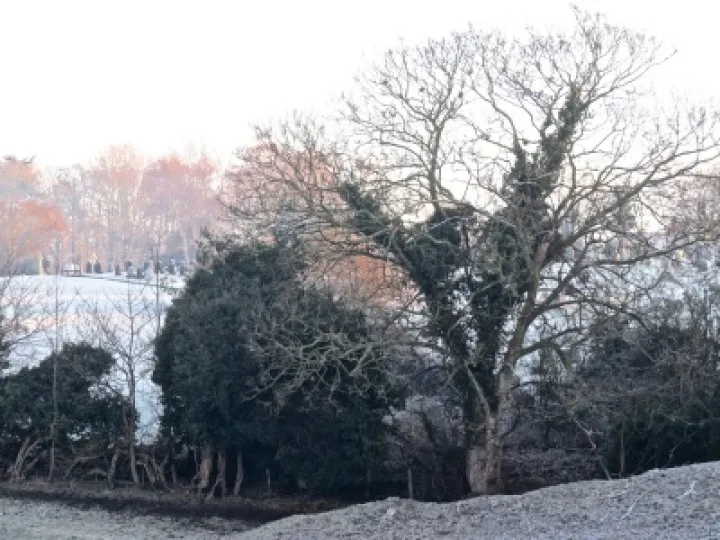 View across to the Frosty Cemetery