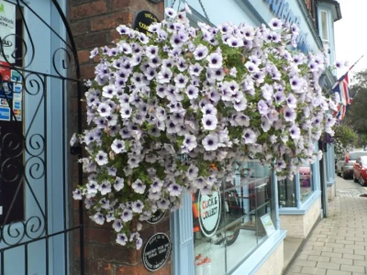 Audlem in Bloom