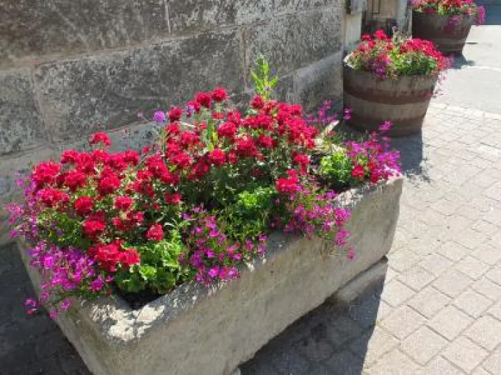 Audlem_in_Bloom_Phil_Baker (2)