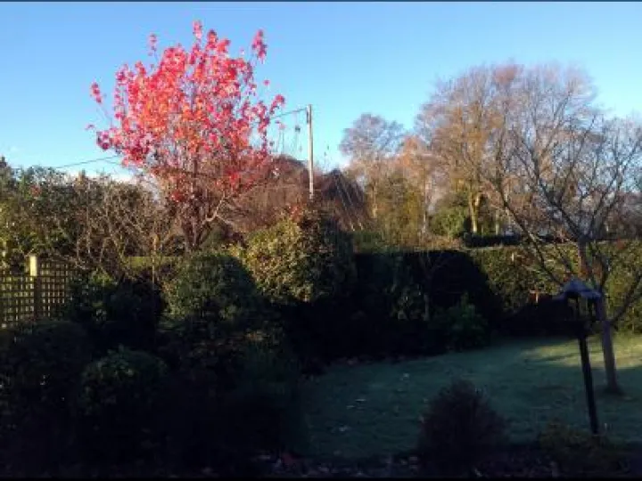 autumnsfinalglowkathdisley