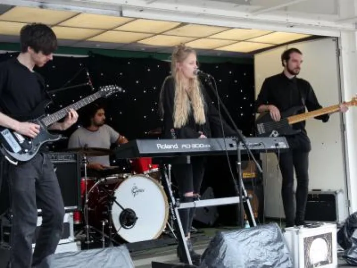 Music and Arts Festival