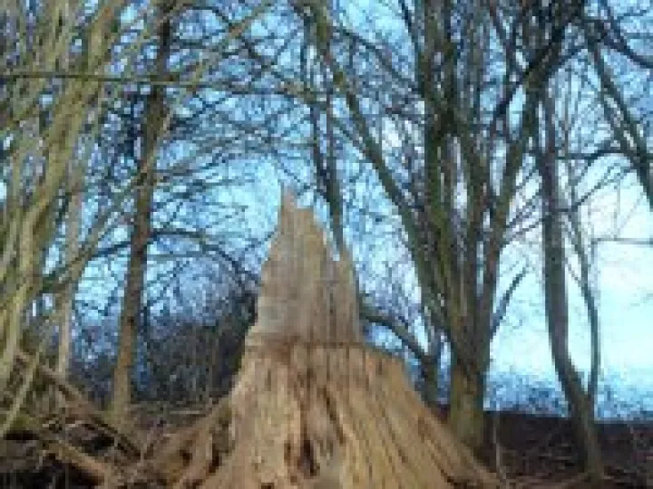 2013 Boxing Day walk