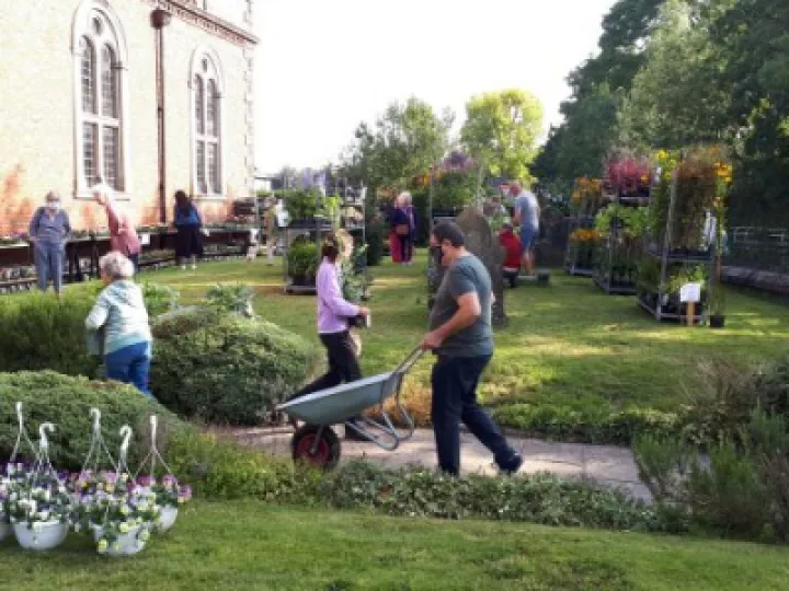 plantsale20200919_100052