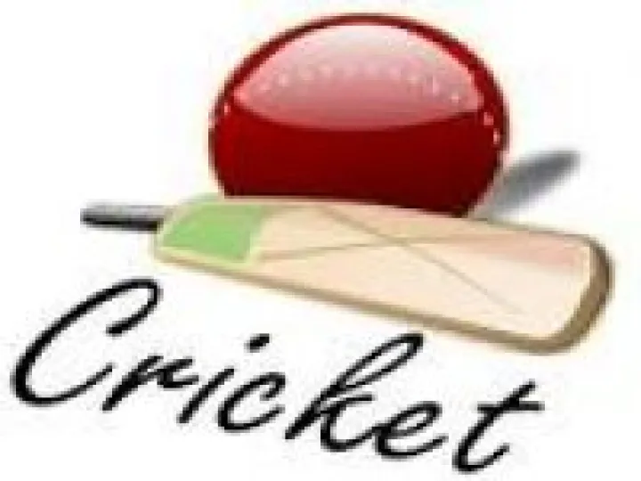 cricket 2