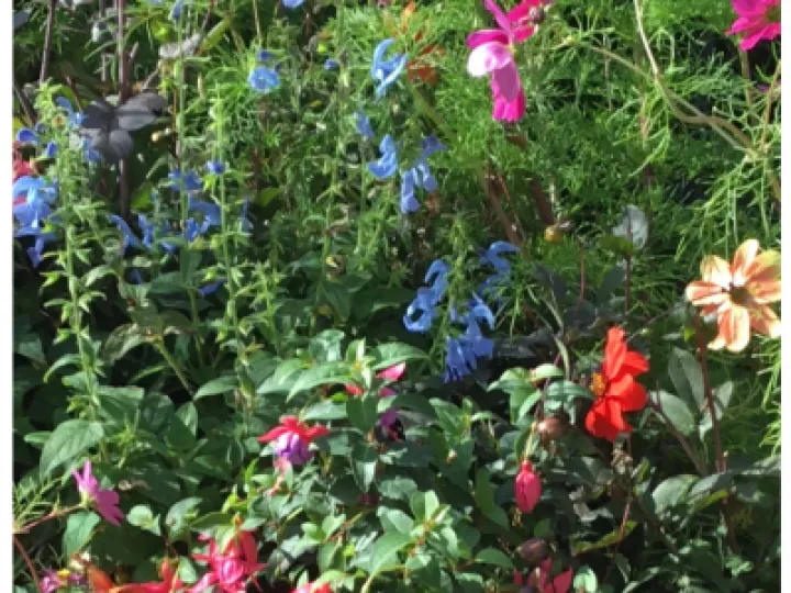 Tattenhall Handley & Burwardsley Parish News October 2020FP