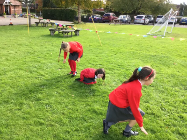 Image: 43B5D45F-A691-4C31-9525-D7407C1ED51B