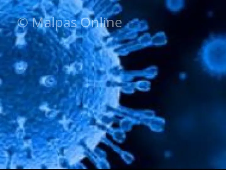 Coronavirus Covid19 logo