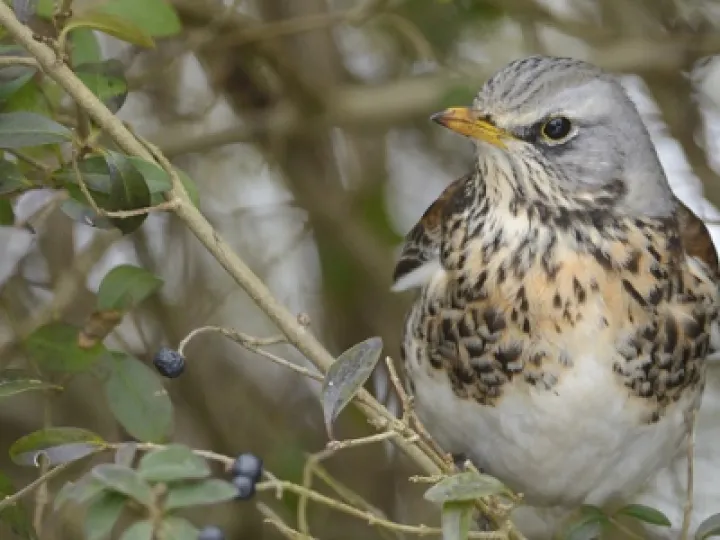 DA89A63E-53AC-4571-9644-FE2CCC3DFB83