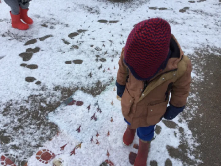 F951E0BA-3F51-49B1-A2F8-DD8324D96019