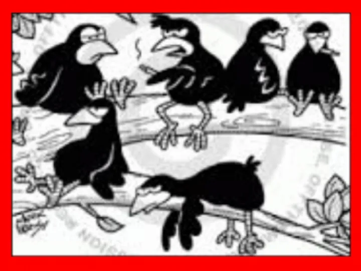 black birds cartoon