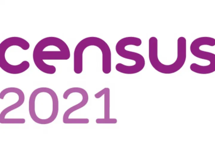 Census 2021 Web Logo