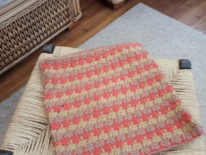 Image: 2021-02-02 Carolyns cushion