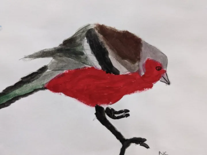 thumbnail_PXL_20210204_171110429