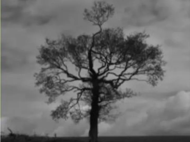 Image: 21-02-2021 Hannah