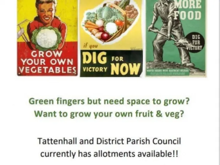 Allotment picture (002)