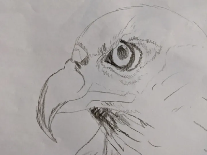 PXL_20210225_103942234