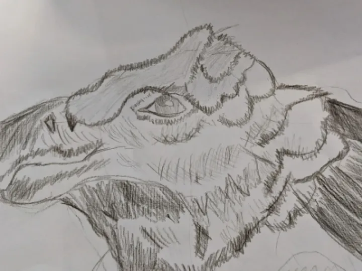 PXL_20210225_103949194