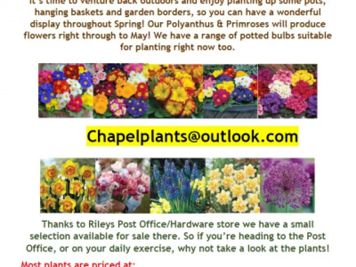 Feb Flyer Chapel Website_210224