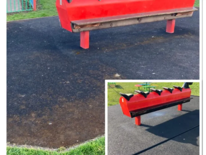 Play Area Horse Cleaned