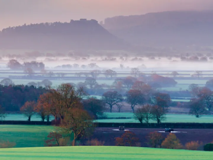 Sandstone-Ridge-Festival-2019-website-image