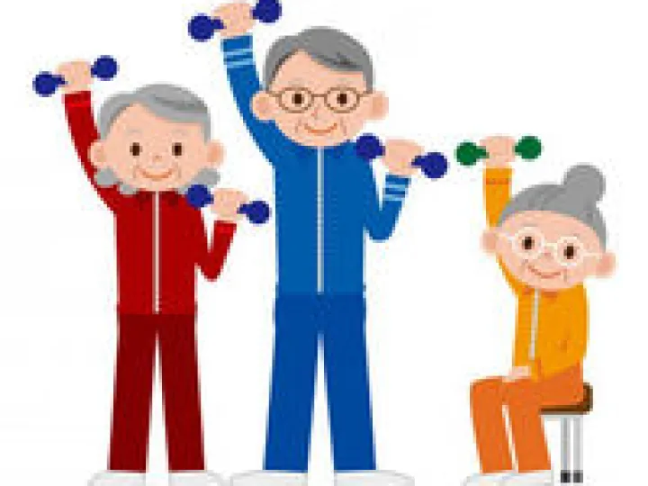 Seated Exercise Clip Art