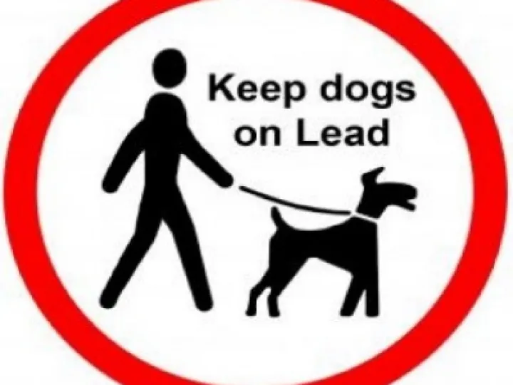 Keep dogs on leads