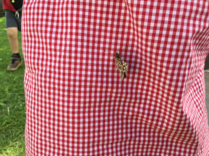 Image: 318AE1BC-C388-4756-9464-CD44D520FE7D