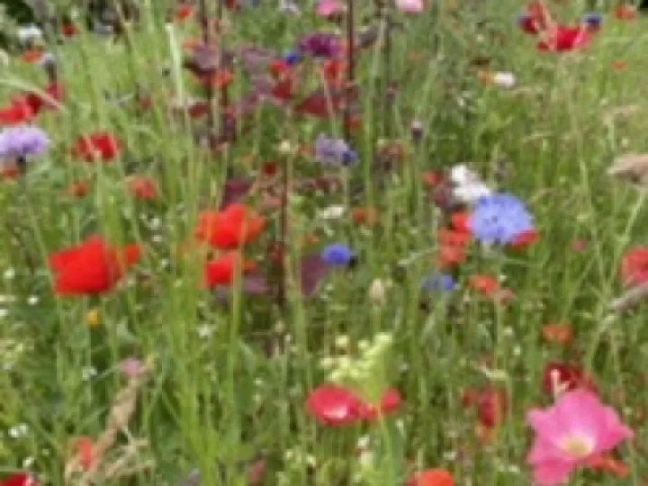 C6366137-9B5A-44E7-9CBD-433127D65796