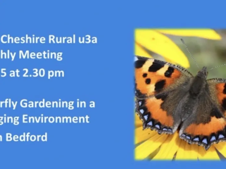 Image: 5384E8EC-2FAD-4F24-8984-4FF7FEC5B55E