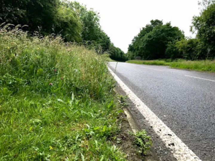 Roadside verge