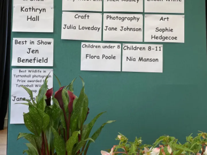 E7B6B706-166A-4DF1-9AD0-8C41304750B3