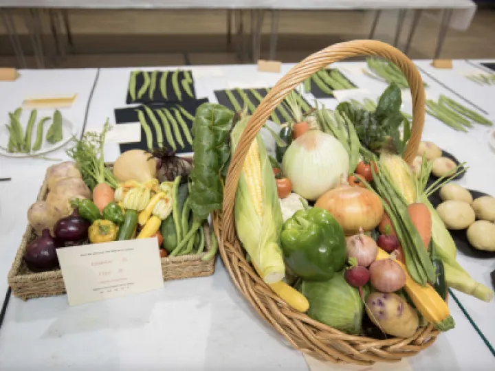 Horticultural Show_Autumn 02