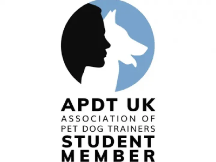 APDT member