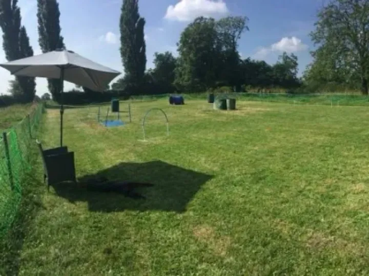 Dog Training field Nantwich
