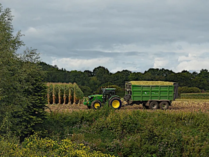 Harvest_DSC_1345cut2