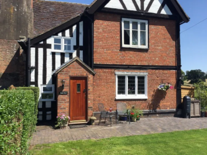 tudor rose 2