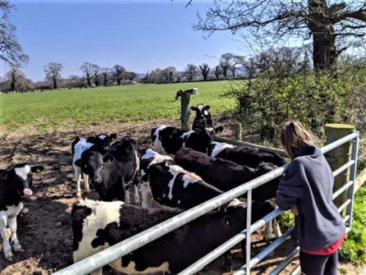 e41fe712-c951-42af-9ab1-39269ce85270