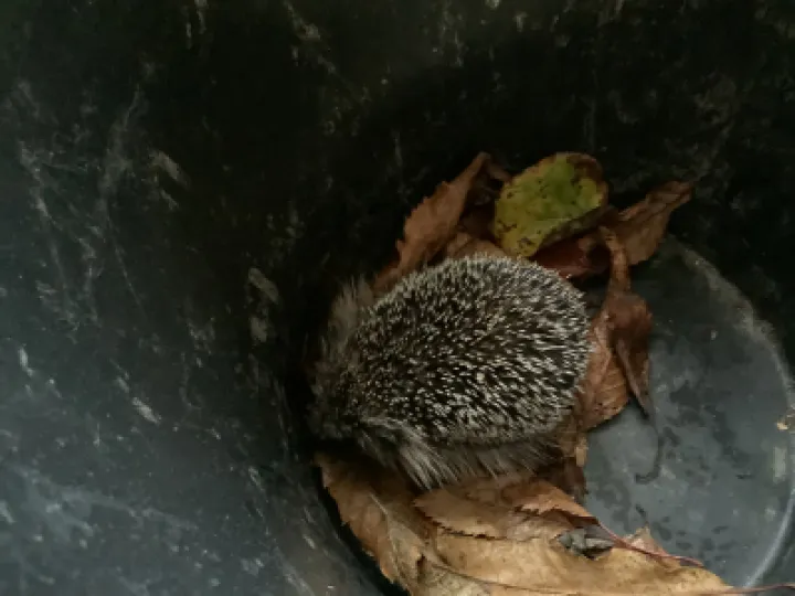 Image: 8CF92B17-2876-4B96-A149-EFAE30D6A23F