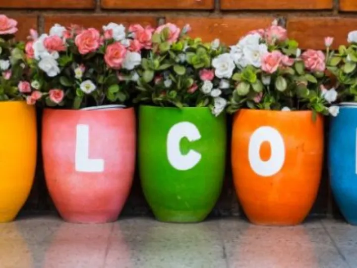 Welcome to the Village