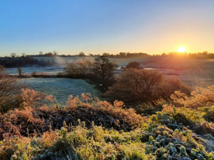 Image: 20211125_082501