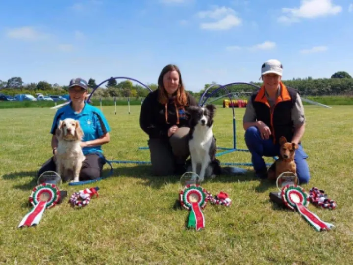 Momo coming third in the Calmer Dog Training Winter Series