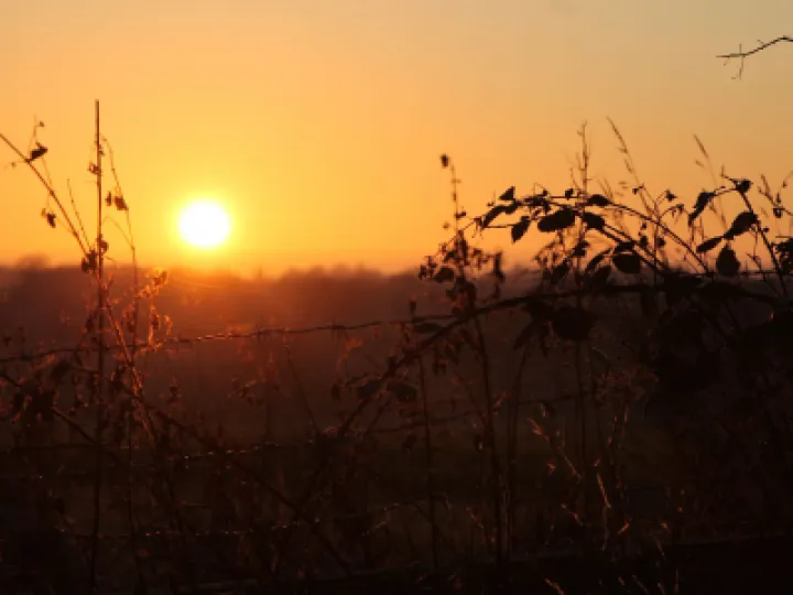 Tarvin Sunset Jan 22 – 1