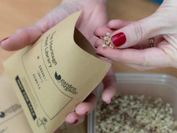 Hsl Seed Packeting