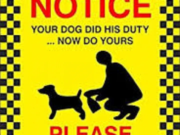 Polite Notice – Bin it