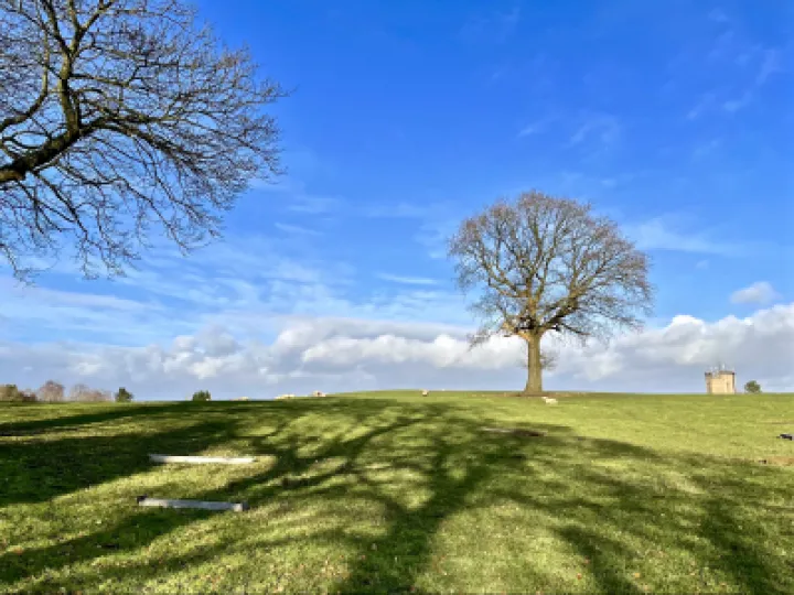 Henbury Tree Jan 2022