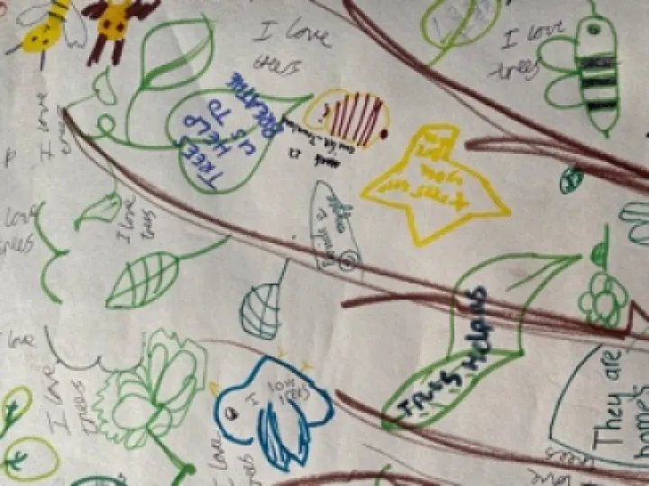 C55CDAD8-4408-4016-86E2-5577C73A949F