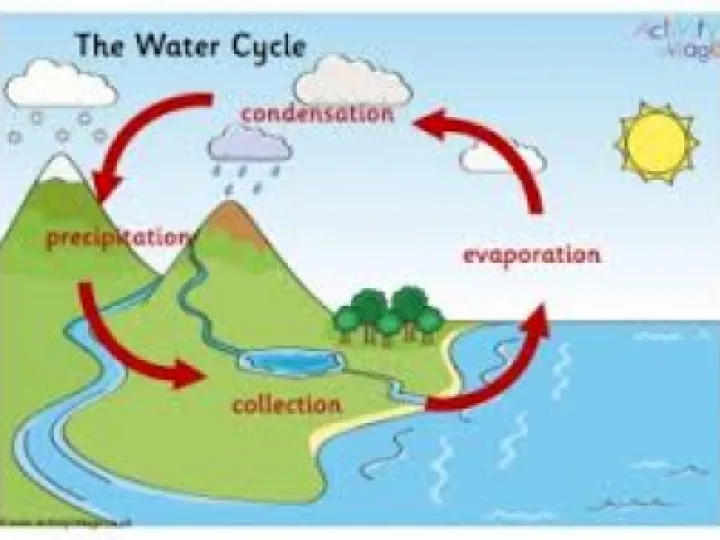 water cycle