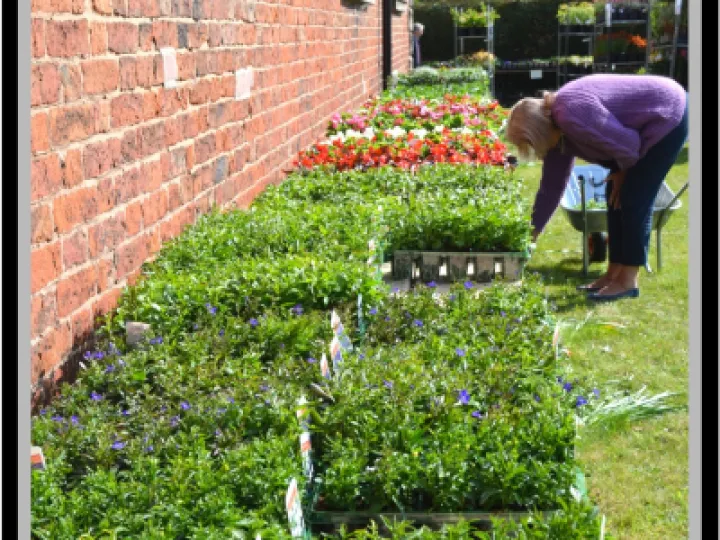 PJ 2022 04 29 09 19 21 01 1