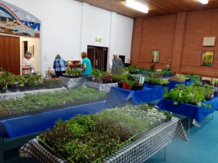 Plants Set Out In Chapel May 2022